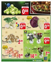 Ähnliche Angebote wie Gartentor im Prospekt "IM EINSATZ FÜR FRISCHE & VIELFALT." auf Seite 5 von EDEKA in München