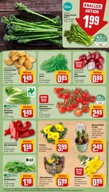 Ähnliche Hortensie Angebote im Prospekt "Dein Markt" von REWE in Laatzen Ähnliche Angebote wie Hortensie im Prospekt "Dein Markt" auf Seite 7 von REWE in Laatzen