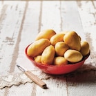Pomme de terre de consommation à chair ferme - U - U Express à Aubagne Pomme de terre de consommation à chair ferme - U en promo chez U Express Aubagne à 2,25 €