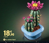 Promo Le cactus fleuri à 18,90 € dans le catalogue Intermarché Super à Tassin-la-Demi-Lune