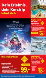Lidl Tickets im Prospekt 