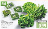 Rucola von EDEKA Bio für 0,99 € bei E center im Angebot Rucola von EDEKA Bio im aktuellen E center Prospekt
