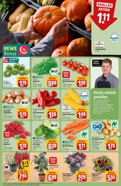 Mais im REWE Prospekt in Ingolstadt Aktueller REWE Prospekt mit Mais, "Dein Markt", Seite 7