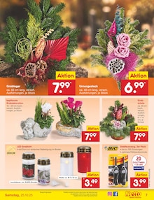 Pflege im aktuellen Netto Marken-Discount Prospekt (Mannheim) Pflege im Netto Marken-Discount Prospekt "Aktuelle Angebote" mit 63 Seiten (Mannheim)