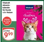 Adventskalender für Hunde im Angebot bei GLOBUS in Halle Adventskalender für Hunde Angebote von Vitakraft bei GLOBUS Halle für 9,99 €