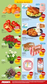 Stauden im Penny Prospekt in Fürth Aktueller Penny Prospekt mit Stauden, "Wer günstig will, muss Penny.", Seite 34