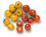 Dtsch. Cherryrispentomaten, gelb Angebot in Lohsa Dtsch. Cherryrispentomaten, gelb im aktuellen Prospekt bei Kaufland in Lohsa