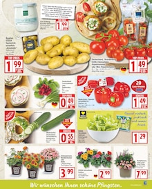 Blumen im aktuellen EDEKA Prospekt (Berlin) Blumen im EDEKA Prospekt "Aktuelle Angebote" mit 20 Seiten (Berlin)
