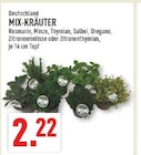 MIX-KRÄUTER im Angebot bei Marktkauf in Bottrop MIX-KRÄUTER Angebote bei Marktkauf Bottrop für 2,22 €