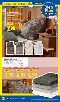 Promo Décoration Murale dans le catalogue Lidl du moment à la page 55