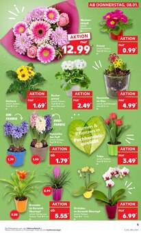 Blumentopf im Kaufland Prospekt "Aktuelle Angebote" mit 64 Seiten (Karlsruhe)