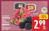 Brombeeren oder Himbeeren für 2,99 € bei EDEKA im Angebot Brombeeren oder Himbeeren im aktuellen EDEKA Prospekt
