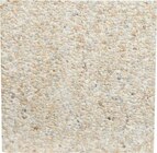 Dalle gravillonnée 40x40cm - Carrefour à Mulhouse Dalle gravillonnée 40x40cm en promo chez Carrefour Mulhouse à 4,99 €