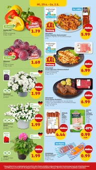 Blumen im Penny Prospekt "Wer günstig will, muss Penny." mit 44 Seiten (Augsburg)