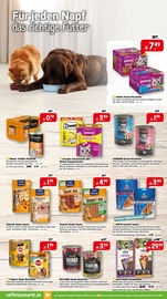 Katzenfutter im Raiffeisenmarkt Prospekt in Stade Aktueller Raiffeisenmarkt Prospekt mit Katzenfutter, "Die kalte Jahreszeit steht vor der Tür", Seite 7
