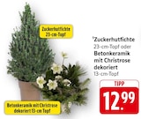Zuckerhutfichte Angebote bei E center Aalen für 12,99 €