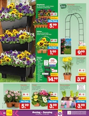 Aktueller Netto Marken-Discount Prospekt mit Kochtopf, "Aktuelle Angebote", Seite 30