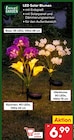 LED Solar Blumen Rose im Angebot bei Netto Marken-Discount in Nordhorn LED Solar Blumen Rose Angebote von Living & Garden bei Netto Marken-Discount Nordhorn für 6,99 €