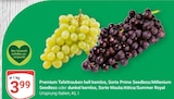 Premium Tafeltrauben hell kernlos im Angebot bei GLOBUS in Herne Premium Tafeltrauben hell kernlos Angebote bei GLOBUS Herne für 3,99 €