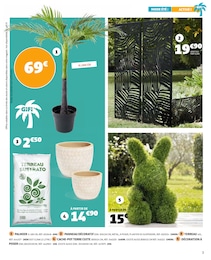 Offre Fleurs dans le catalogue Gifi du moment à la page 3