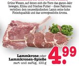 Lammkrone im Angebot bei E center in Karlsruhe Lammkrone Angebote bei E center Karlsruhe für 4,99 €