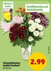 Penny Neuruppin Prospekt mit  im Angebot für 2,99 €