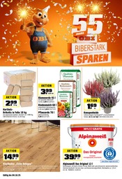 Aktueller OBI Baumärkte Prospekt in Kastl und Umgebung, "BIBERSTARK SPAREN!" mit 20 Seiten, 27.09.2025 - 04.10.2025