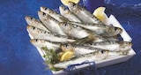 U Express Champigné - Promo Sardine Promo Sardine à 3,75 € dans le catalogue U Express à Champigné
