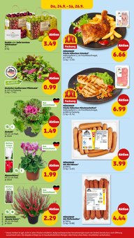 Cola im aktuellen Penny Prospekt (Landau (Pfalz)) Cola im Penny Prospekt "Wer günstig will, muss Penny." mit 30 Seiten (Landau (Pfalz))