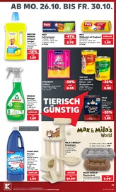 Kratzbaum im Kaufland Prospekt in Braunschweig Aktueller Kaufland Prospekt mit Kratzbaum, "Hier bin ich richtig", Seite 47