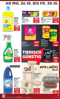 Mülleimer im Kaufland Prospekt "Hier bin ich richtig" mit 80 Seiten (Braunschweig)