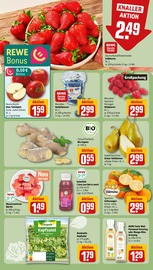 Bio im REWE Prospekt in Elmshorn Aktueller REWE Prospekt mit Bio, "Dein Markt", Seite 8