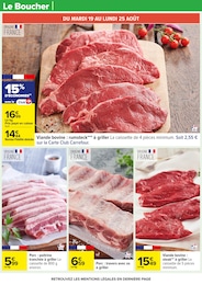 Offre Grill dans le catalogue Carrefour du moment à la page 19