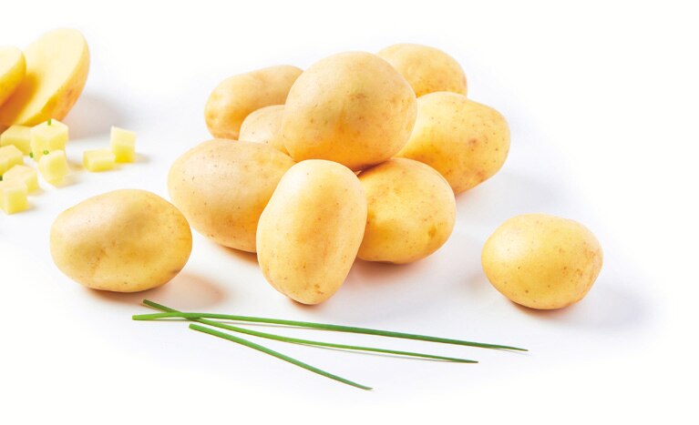 Pommes de terre de consommation variété Jazzy