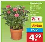 Rosenbusch von  im aktuellen Netto Marken-Discount Prospekt für 4,99 €