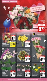 EDEKA Tulpen im Prospekt 