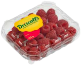 EDEKA Frischemarkt Großensee - Kulturheidelbeeren Angebot im Prospekt Kulturheidelbeeren bei EDEKA Frischemarkt im Großensee Prospekt für 1,99 €
