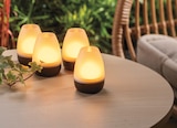 Akku-Lounge-Leuchten im Rossmann Prospekt Akku-Lounge-Leuchten im aktuellen Rossmann Prospekt für 12,99 €
