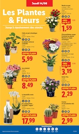 Catalogue Lidl en cours à Calais, "XXL GRAND FORMAT MINI PRIX", Page 27