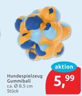 Hundespielzeug Gummiball im aktuellen budni Prospekt