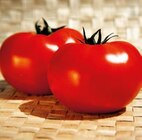 Aktuelles Freiland-Fleischtomate „Fantasio“ Angebot bei Hornbach in Moers ab 5,69 €