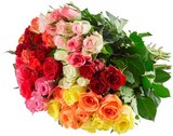 Rosen im Angebot bei REWE in Neumünster Rosen Angebote von Fairtrade bei REWE Neumünster für 3,69 €
