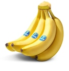 Bananen im Angebot bei Penny in Kiel Bananen Angebote von Chiquita bei Penny Kiel für 1,99 €