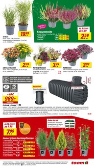 Blumen im toom Baumarkt Prospekt "Respekt, wer's selber macht." mit 14 Seiten (Göttingen)