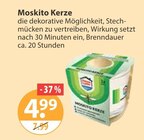 Moskito Kerze von  im aktuellen V-Markt Prospekt für 4,99 €