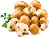 Kulturchampignons braun  im aktuellen Netto mit dem Scottie Prospekt für 1,11 €