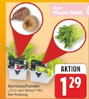 Gemüsepflanzen 'Fit in den Winter'-Mix für 1,29 € bei EDEKA im Angebot Gemüsepflanzen 'Fit in den Winter'-Mix im aktuellen EDEKA Prospekt