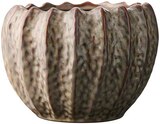Aktuelle Blumentopf Angebote bei Rusta in Essen Aktuelles Blumentöpfe Angebot bei Rusta in Essen ab 5,59 €