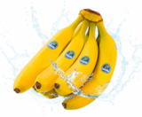 Aktuelle Bananen Angebote bei Netto Marken-Discount in Pforzheim Aktuelles Bananen Angebot bei Netto Marken-Discount in Pforzheim ab 1,99 €