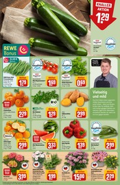 Ähnliche Tulpen Angebote im Prospekt "Dein Markt" von REWE in Dachau Ähnliche Angebote wie Tulpen im Prospekt "Dein Markt" auf Seite 7 von REWE in Dachau